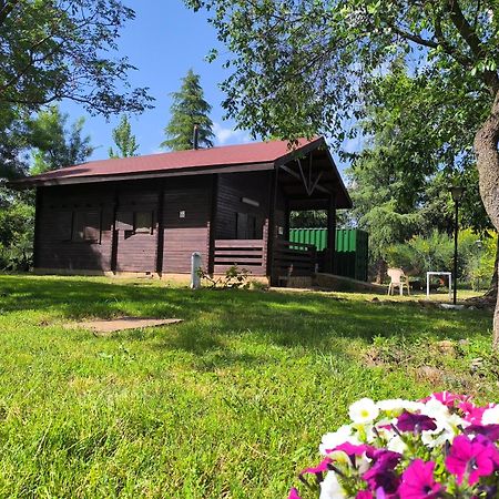 Casas Rurales Tabla Honda El Robledo  Kültér fotó