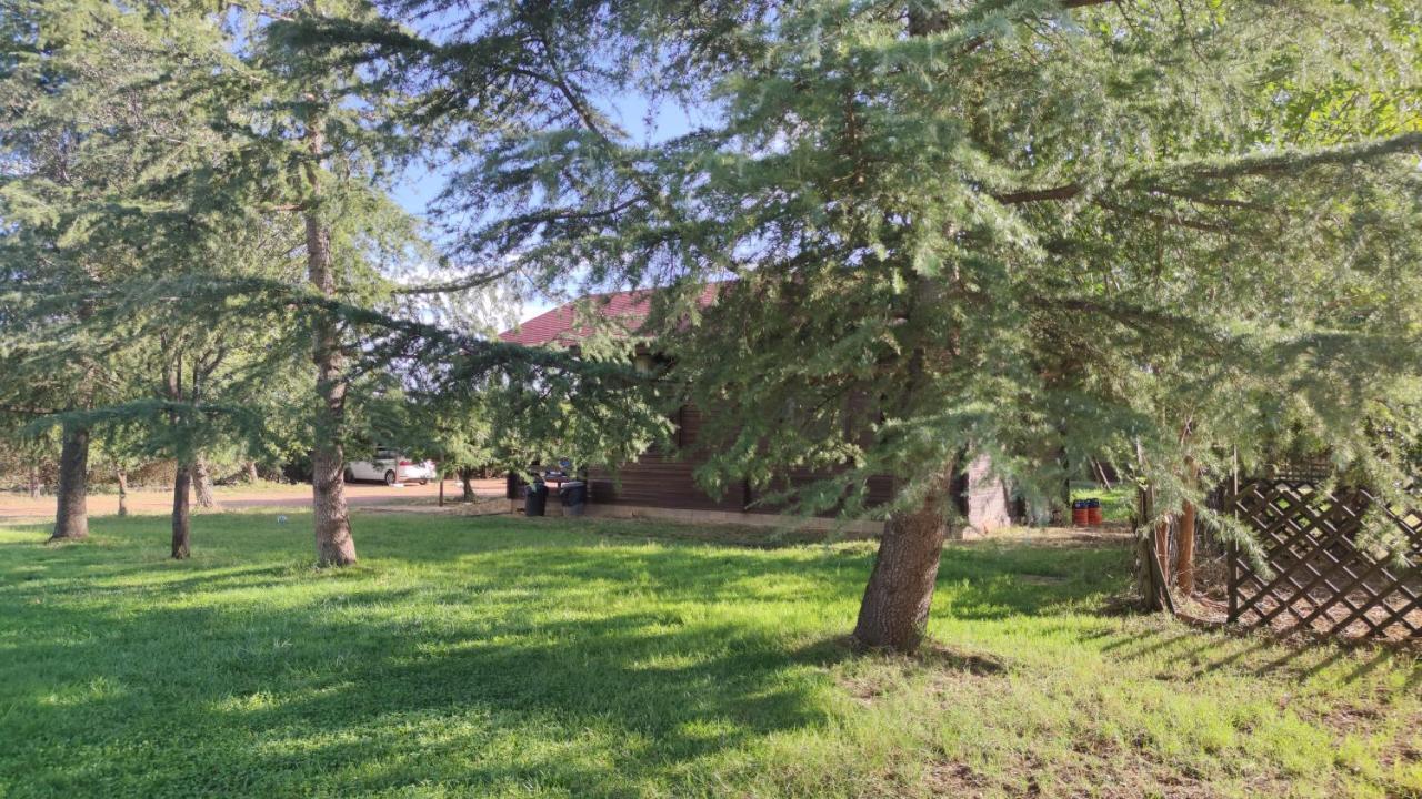 Casas Rurales Tabla Honda El Robledo  Kültér fotó