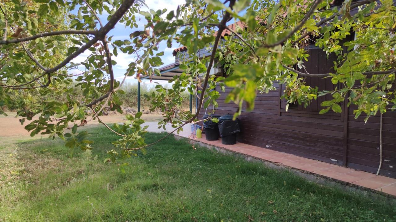 Casas Rurales Tabla Honda El Robledo  Kültér fotó