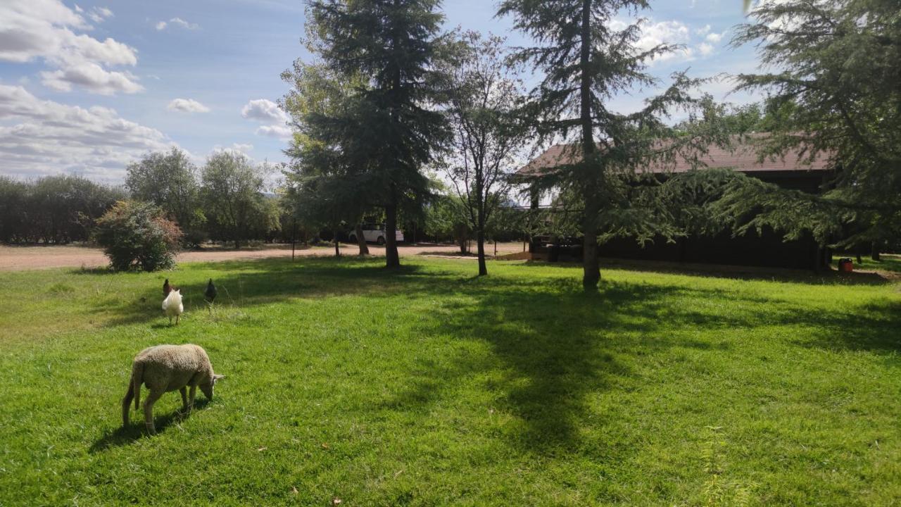 Casas Rurales Tabla Honda El Robledo  Kültér fotó